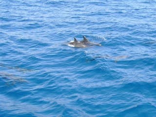 Boot terug naar Gran canaria