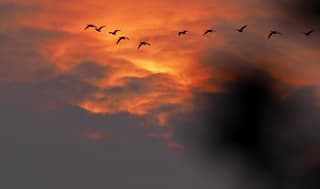 Zonsondergang