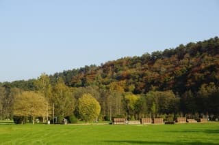 Mooie kleuren in de Ardennen 