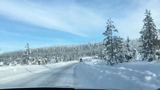 Pallas yllas Tunturi