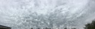 Mammatus