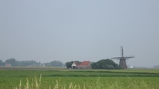 Zomer in Friesland