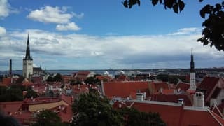 Nationale feestdag in Estland