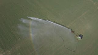 Droogte in Nederland