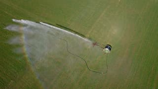 Droogte