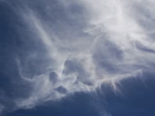 Foto met gezicht te Ranst Belgie