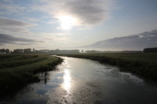 Ochtend stond heeft goud in de mond