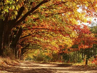 Zomerse Herfst! De warmste ooit gemeten! 