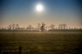Ochtend in de Betuwe