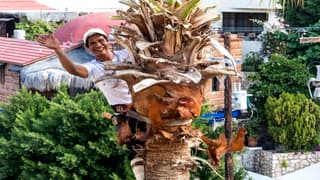 CABO SAN LUCAS MEXICO