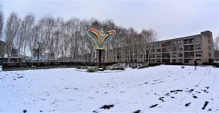 Witte sneeuw weerspiegeld een witte lucht