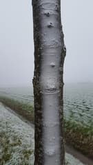 winter is af en toe net spuitwerk