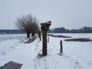 Sneeuw landschap  