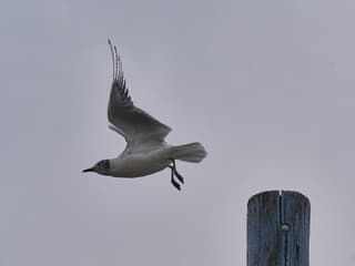 Op naar een mooi weekend!!!!