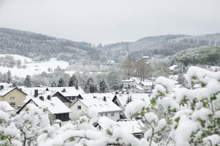 Sneeuw 