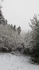 Sneeuw in mei