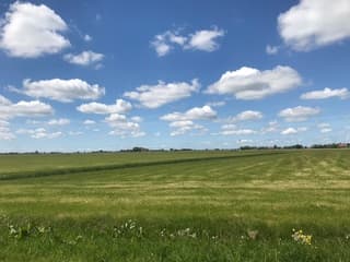 Mooi plaatje van Dearsum