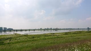 Weerfoto langs de Lek bij Everdingen