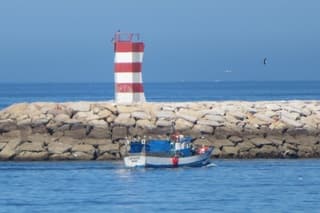Algarve, vissen op rustige oceaan.