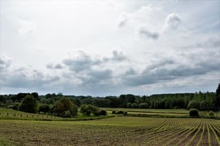 langsheen Vlaamse velden