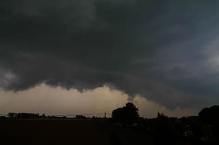 Shelfcloud Dadizele