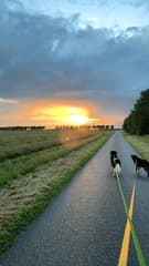 Na een flinke regenbui toch nog de zon