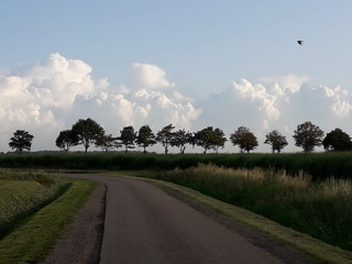mooi landschap in het zeeuwse grensdorp