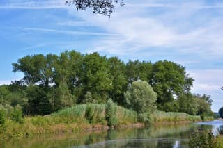 Hoogzomer