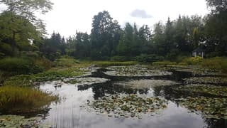 Mooi uitgaans weer 