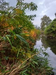 Herfst in de Watering
