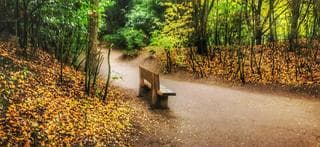 Herfst 