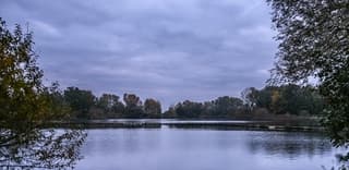 Veel bewolking