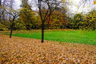 herfst
