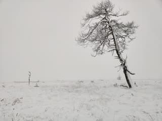 Sneeuw in de Ardennen!