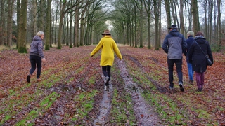 Mooi wandelweer, wel modderige paden.