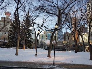 Winter lantaarnmannetjes