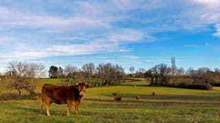 Zonnig wandelweer