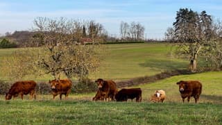  Zonnig wandelweer