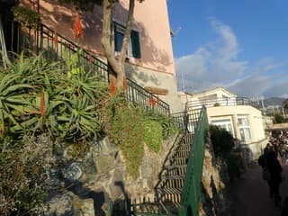 Bloeiende subtropische planten langs de kust