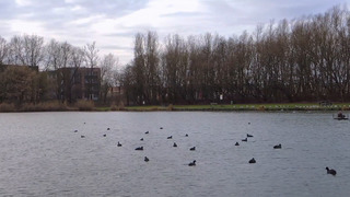 weerbeeld Hamme 11 uur