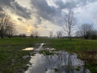 Erica namiddag na 2 dagen regen