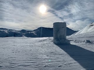 Kikker in ochtendgloren.