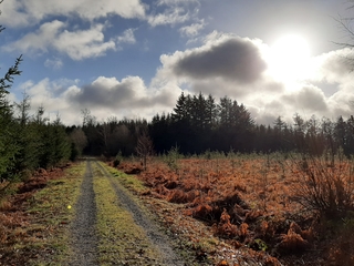Voor de buien eropuit in de Ardennen