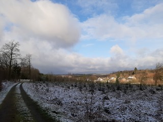 Ochtendwandeling door de sneeuw