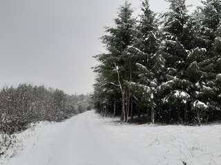 10 cm erbij in de Ardennen