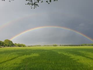 Dubbele regenboog