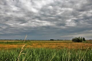 en zo word je dus verliefd op de natuur