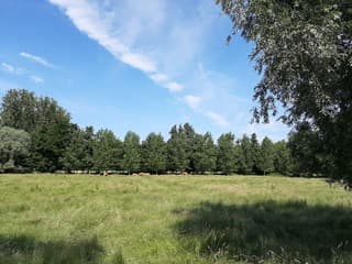 Blauwe lucht met wat bewolking