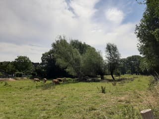 Net over de grenin Duitsland. 