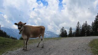 Alpen: zonnige start, vanmiddag buien
